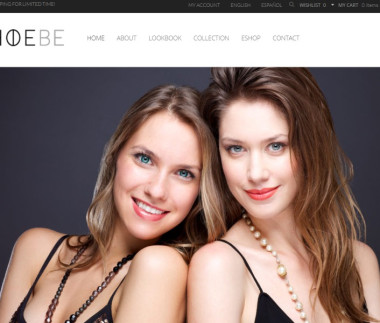 Fashion Online Store & Brochure