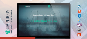 Theme's Screenshot