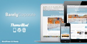 Theme's Screenshot