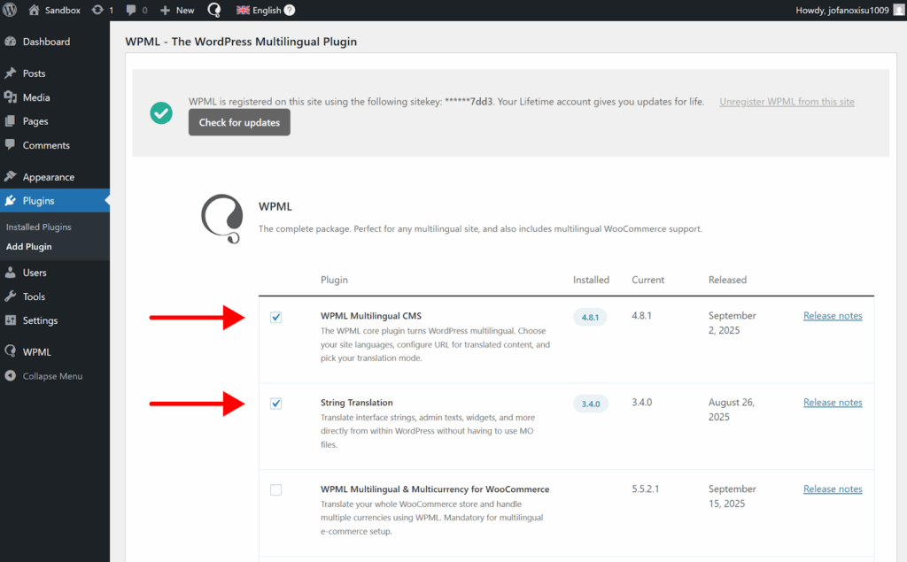 Selecting WPML Multilingual CMS and String Translation components