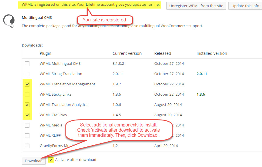 Install additional WPML components