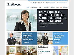 Theme's Screenshot
