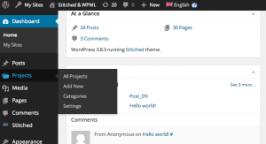Projects menu opened in WordPress admin