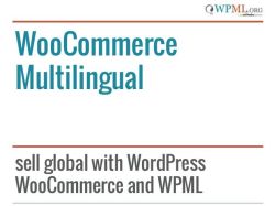 WoocCommerce Multillingual