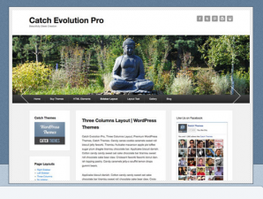 Theme's Screenshot