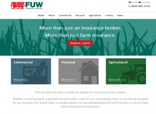 fuwinsurance.com