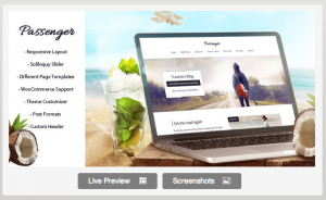 Theme's Screenshot