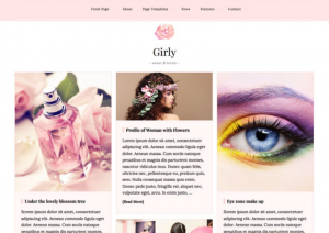 Theme's Screenshot
