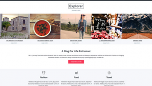 Theme's Screenshot