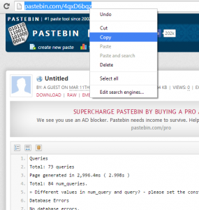Copy Pastebin URL