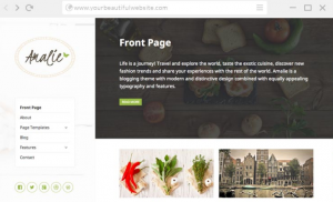 Theme's Screenshot