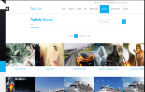 Theme's Screenshot