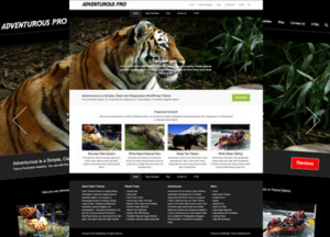 Theme's Screenshot