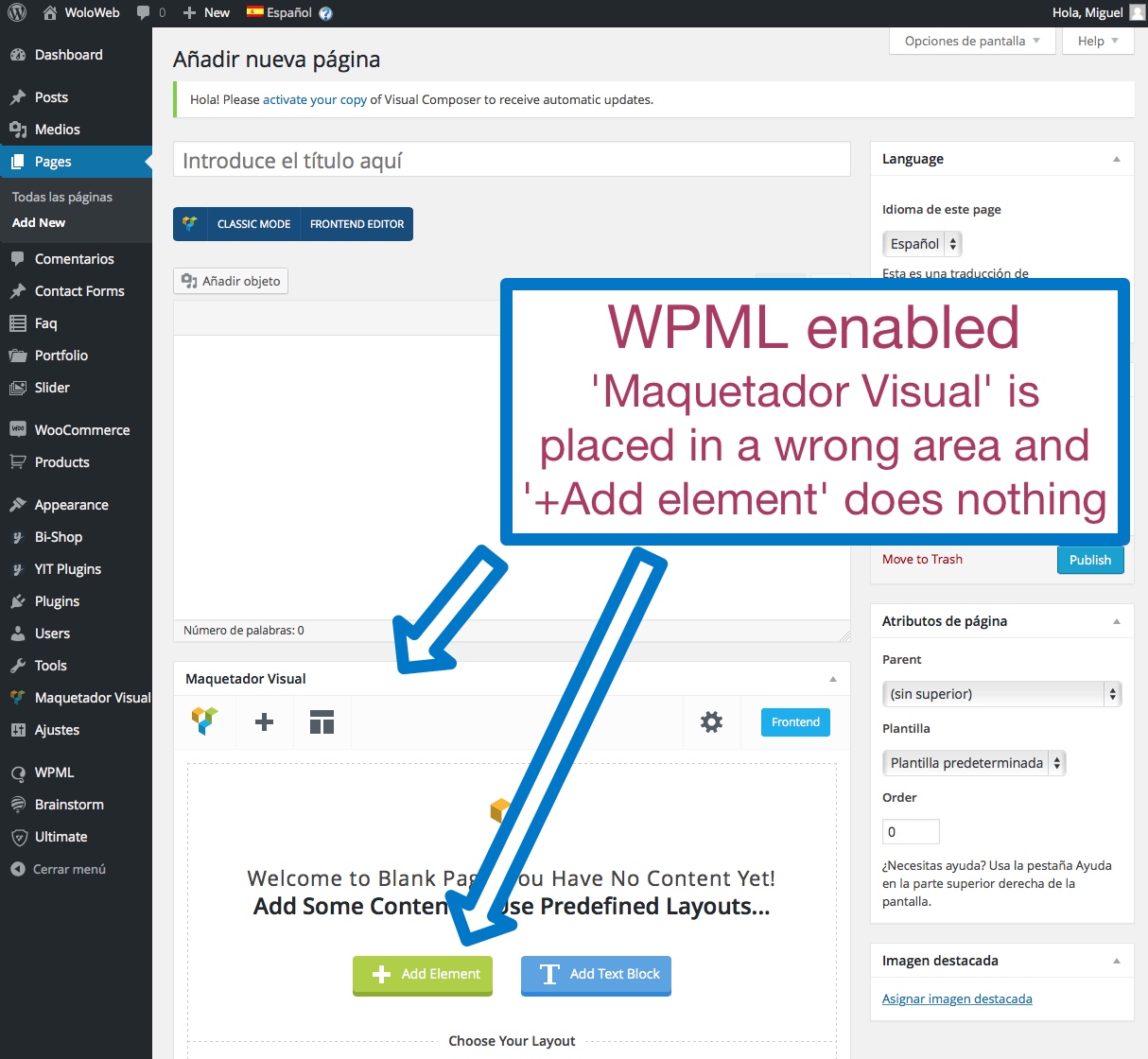 wpml multilingual cms