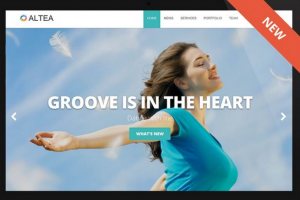 Theme's Screenshot