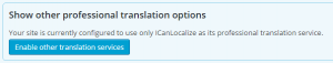 Enabling other translation service from the Troubleshooting screen