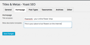 Setting the meta SEO texts
