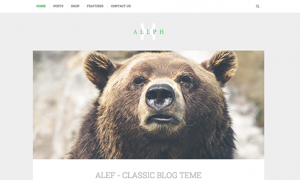 Theme's Screenshot