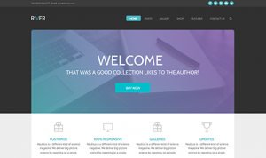 Theme's Screenshot