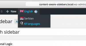 sidebar translation and conditional logic for secondary language
