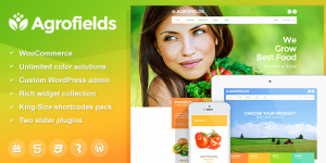 Theme's Screenshot