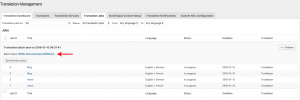 Translation Jobs in progress after being submitted for translation