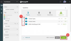 Selecting And Updating WPML And Other Plugins From the ManageWP Dashboard