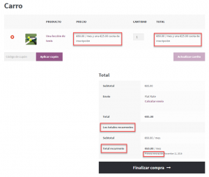 Translated subscription-related strings on the Cart page
