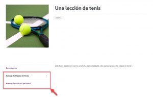 Translated product and its custom tabs
