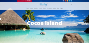 Theme's Screenshot