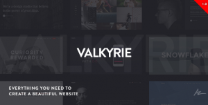 Theme's Screenshot
