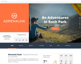 Theme's Screenshot