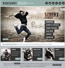 Theme's Screenshot
