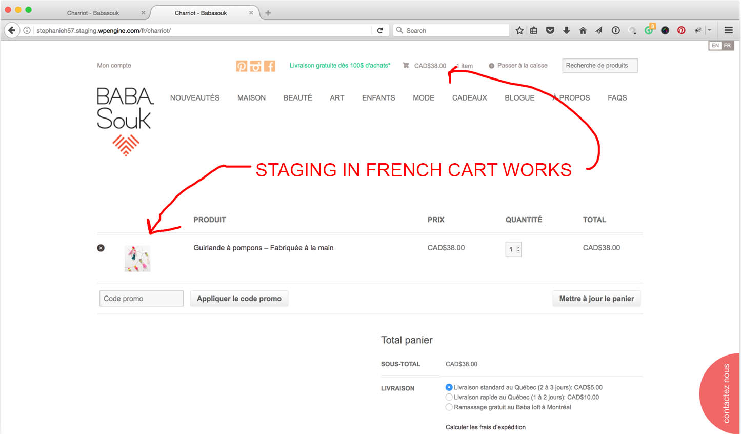 Staging Site Cart Works Live Sits Does Not Empty In Second Live Cart Shows Empty In French Jpg Staging Works
