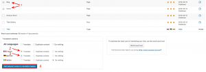 Selecting documents to send for translation
