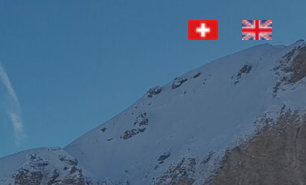 language switcher options wpml no flag language switcher options wpml no flag