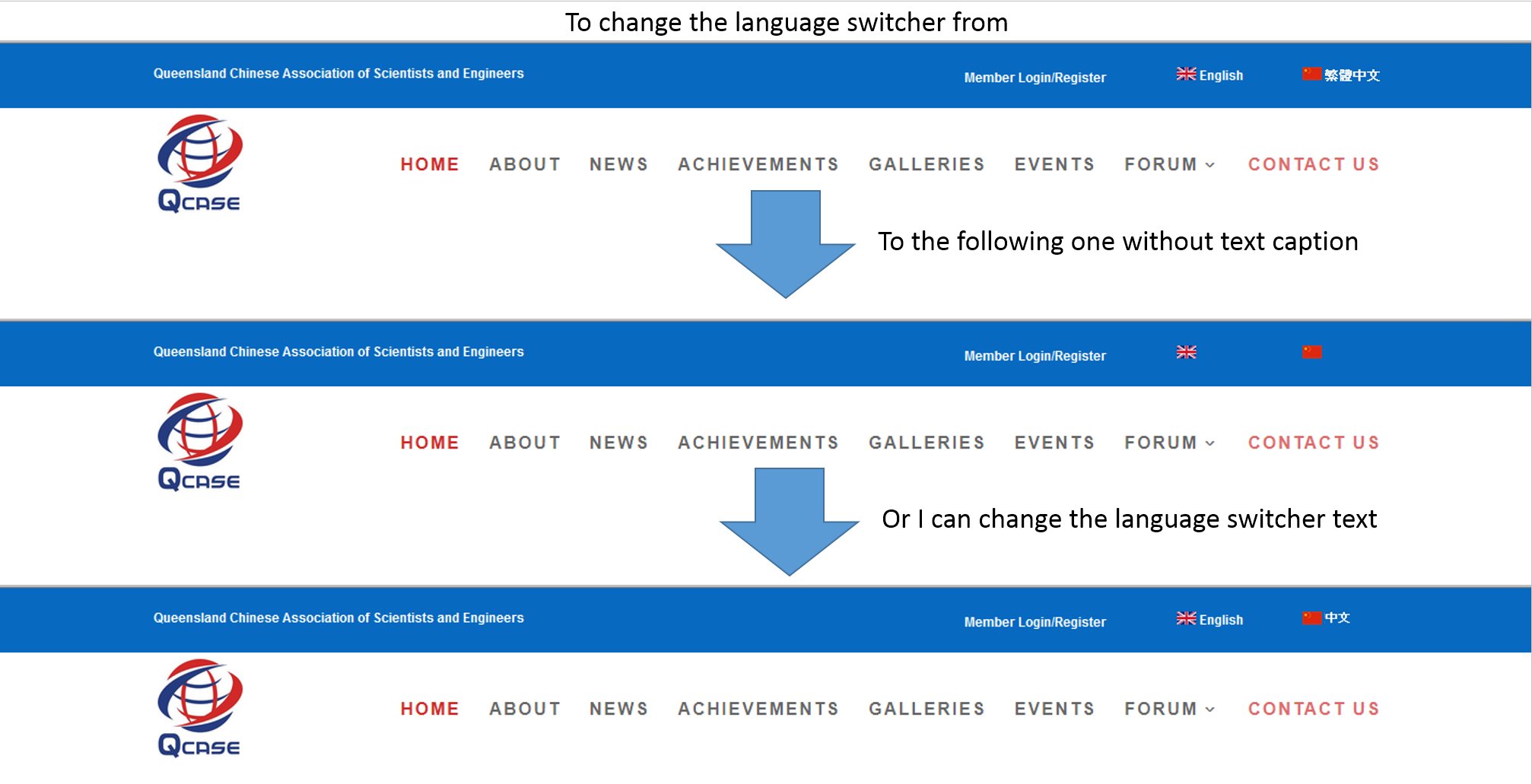 wpml language switcher wpml language switcher