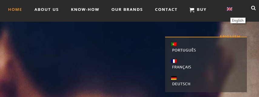 language switcher css