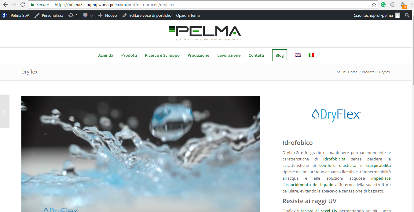 link to products in portfolio don\'t go after update WPML String ... link to products in portfolio don\'t go after update WPML String ...