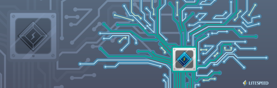 LiteSpeed Cache