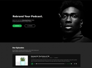 Theme's Screenshot