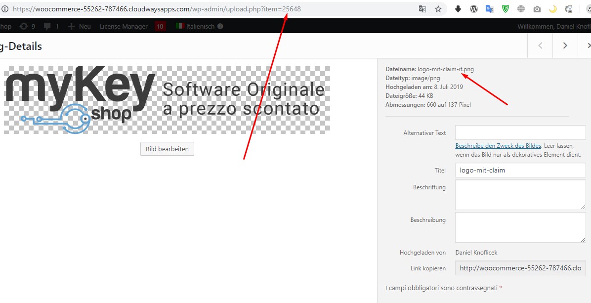 Theme Logo Does Not Translate With Wpml Media Shoptimizer Theme Wpml