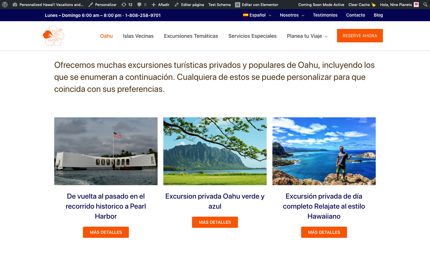 Spanish Language Button Goes To English Language Page Wpml