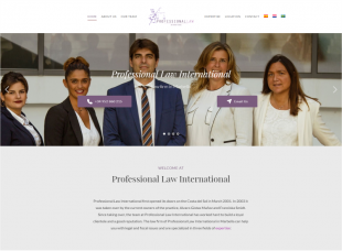 Professional Law International