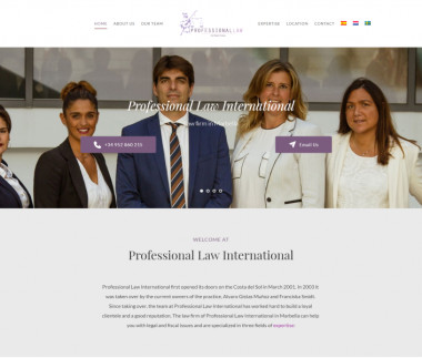 Professional Law International