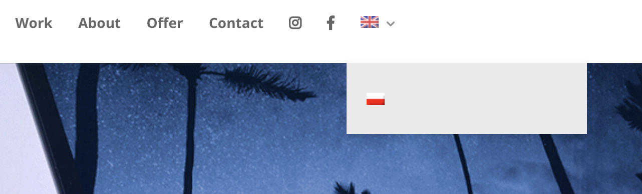 wordpress custom language switcher wordpress custom language switcher