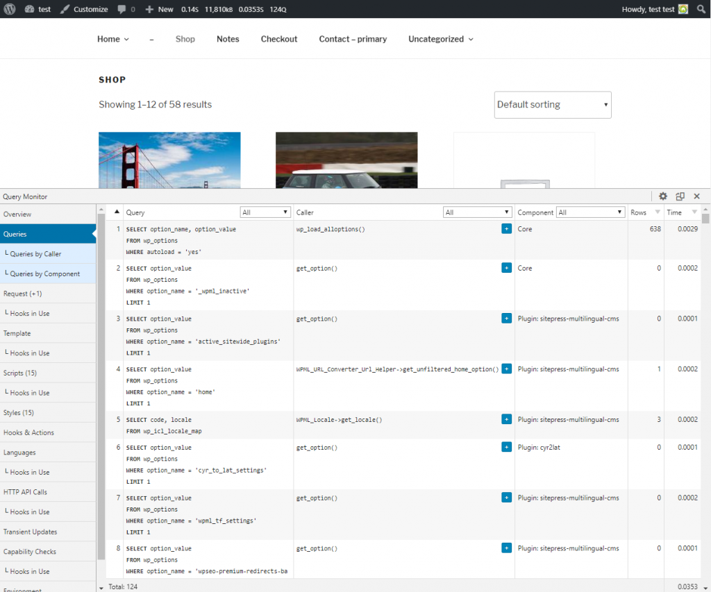 The “Queries” panel displays information about database queries