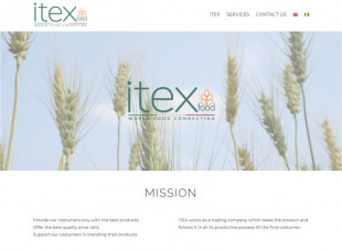 Itex Company