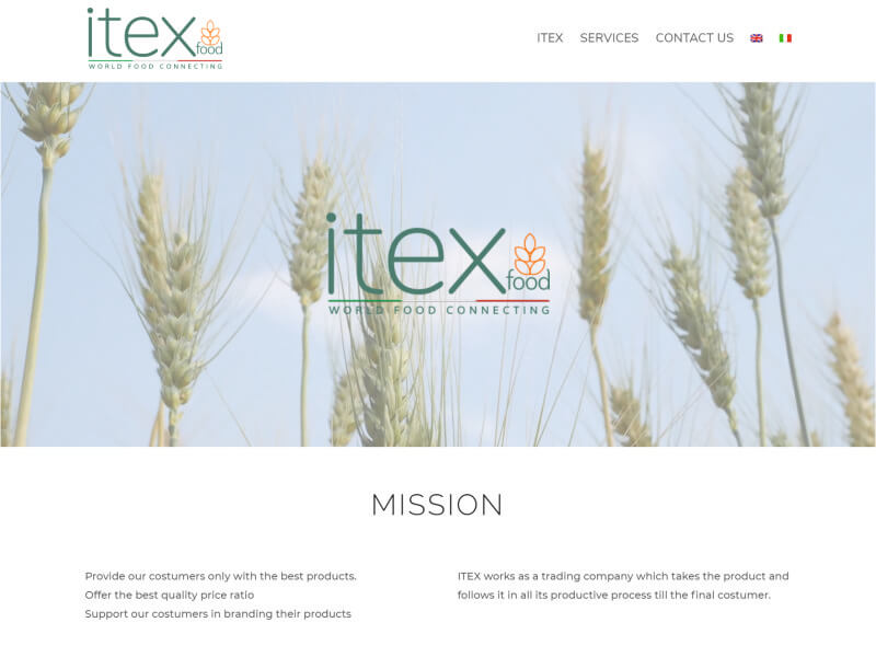 Itex Company