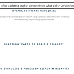 wpml.png